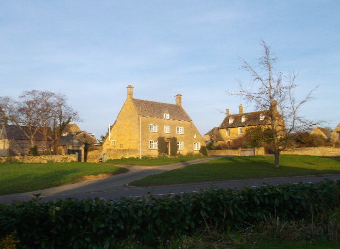 Tree on the Green in Willersey